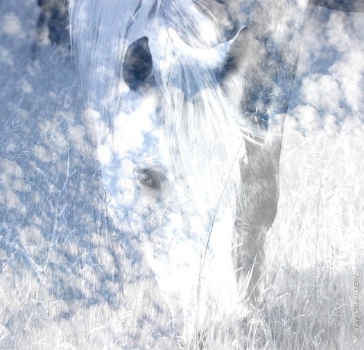 Heavenly Horses / Облачные Лошадки - Арт Директор Ганова Людмила. Фотографы Цуриков Илья & Ket Gun - Фотография