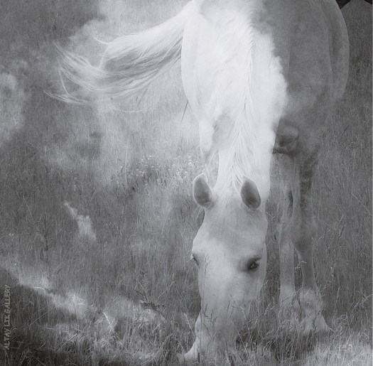 Heavenly Horses / Облачные Лошадки - Арт Директор Ганова Людмила. Фотографы Цуриков Илья & Ket Gun