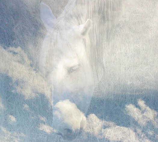 Heavenly Horses / Облачные Лошадки - Арт Директор Ганова Людмила. Фотографы Цуриков Илья & Ket Gun